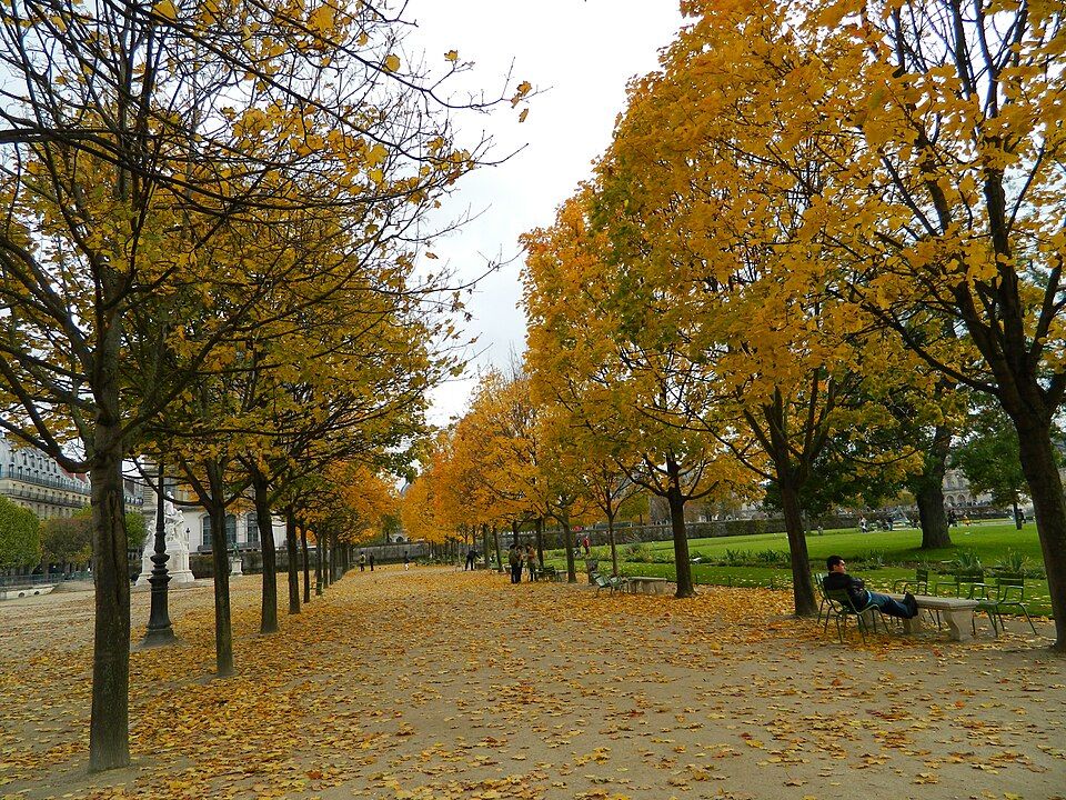 Der Tuileriengarten im Herbst
